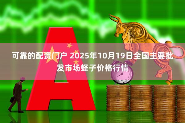 可靠的配资门户 2025年10月19日全国主要批发市场蛏子价格行情